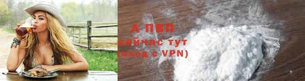 ешки Богданович