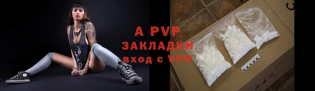 ешки Богданович