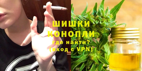 ешки Богданович
